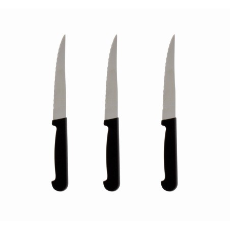 PRADEL - LOT 3 COUTEAUX STEAK 11 CM MANCHES POLYPROPYLENE VRAC