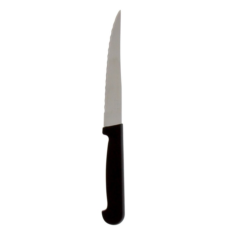 PRADEL - LOT 3 COUTEAUX STEAK 11 CM MANCHES POLYPROPYLENE VRAC