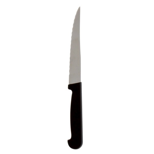 PRADEL - LOT 3 COUTEAUX STEAK 11 CM MANCHES POLYPROPYLENE VRAC