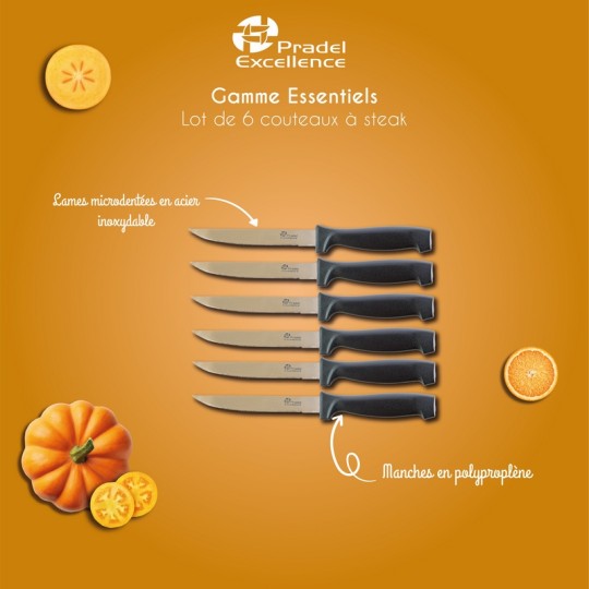 ESSENTIELS - SET 6 COUTEAUX A STEAK BOITE COULEUR