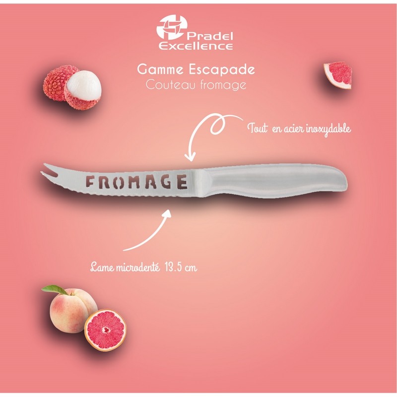 ESCAPADE - COUTEAU FROMAGE TOUT INOX SUR CARTE