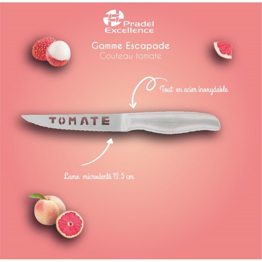 ESCAPADE - COUTEAU TOMATE TOUT INOX SUR CARTE