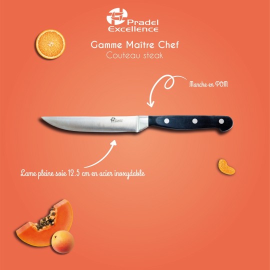 MAITRE CHEF - COUTEAU STEAK 12.5 CM SUR CARTE