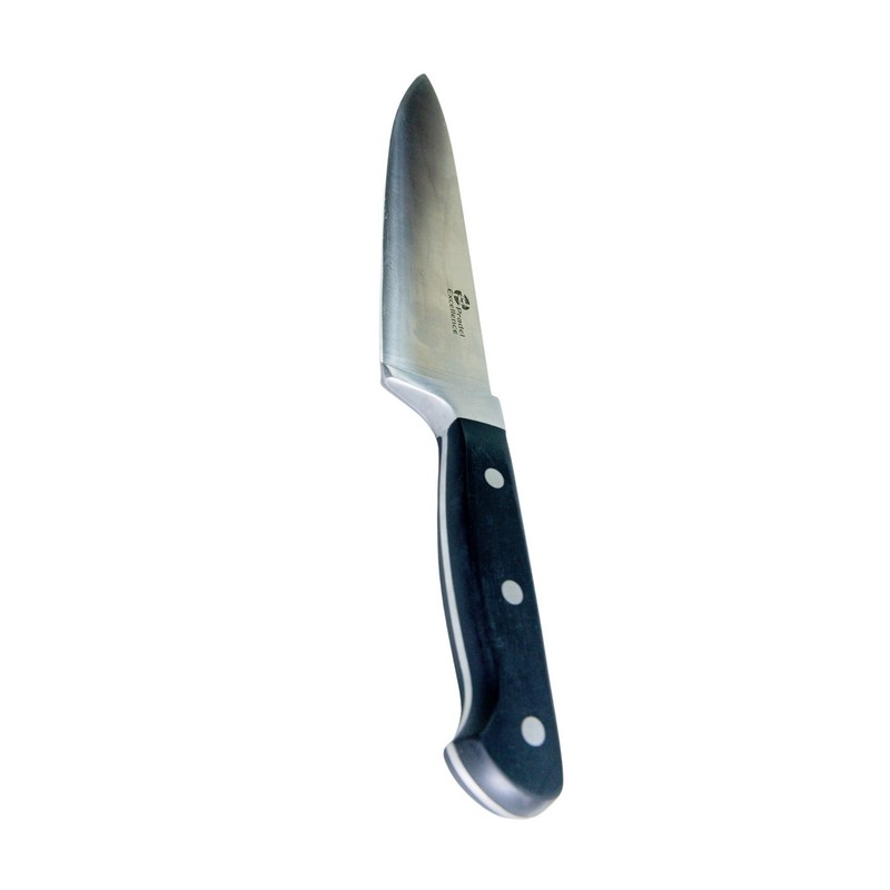 MAITRE CHEF - COUTEAU CHEF 15 CM SUR CARTE