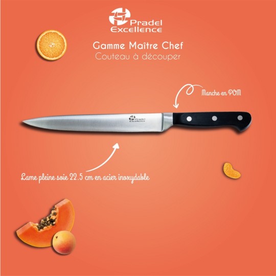 MAITRE CHEF - COUTEAU A DECOUPER 22.5 CM SUR CARTE