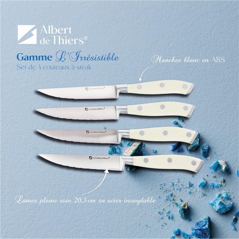 L'IRRESISTIBLE - SET DE 4 COUTEAUX STEAK BOITE COULEUR