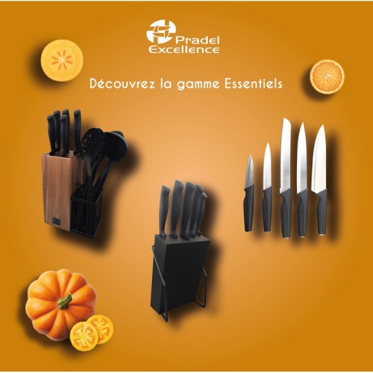 ESSENTIELS - SET 5 COUTEAUX DE CUISINE MANCHE SOFT PP NOIR BOITE COULEUR