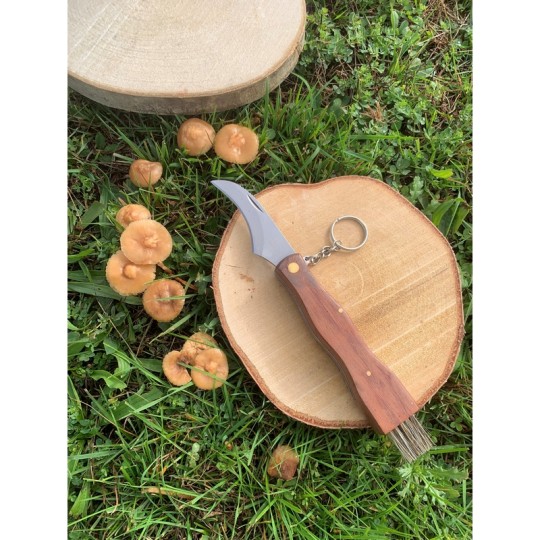 EVASION - COUTEAU A CHAMPIGNONS 7 CM AVEC BROSSE SUR CARTE