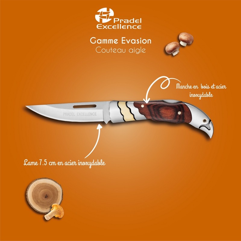 EVASION - COUTEAU DE POCHE AIGLE 7.5 CM SUR CARTE