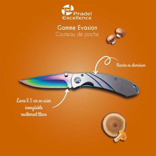 EVASION - COUTEAU DE POCHE REVETEMENT TITANE 8.5 CM SUR CARTE