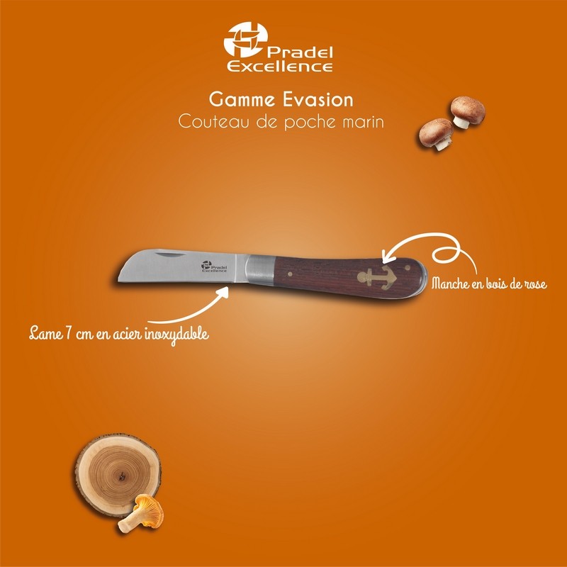 EVASION - COUTEAU DE POCHE MARIN 7 CM SUR CARTE