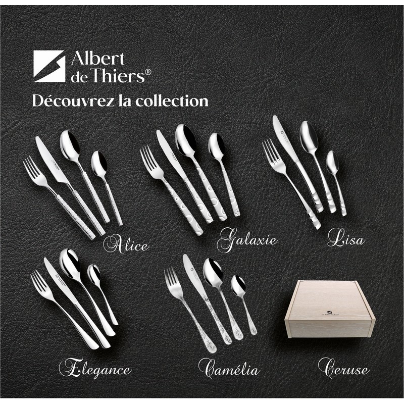 LISA - MENAGERE 24 PCS INOX BOITE COULEUR