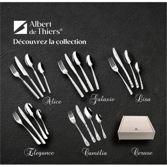 ELEGANCE MEN 48 PIECES COF.BOIS