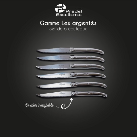 LES ARGENTES - SET DE 6 COUTEAUX INOX BOITE COULEUR