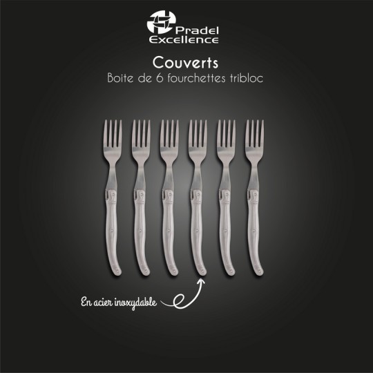 LES ARGENTES - SET DE 6 FOURCHETTES INOX BOITE COULEUR