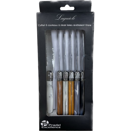 LES MARBRES - SET 6 COUTEAUX DE TABLE PANACHES BOITE COULEUR