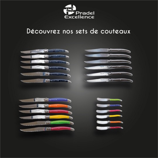 LES COLORES - SET 6 TARTINEURS PANACHES BOITE COULEUR