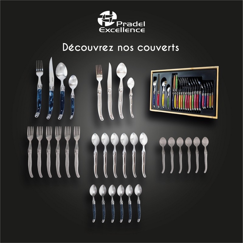 MENAGERE LAGUIOLE MULTICOLORE 24 PIECES PLEINE SOIE EN COFFRET CARTON