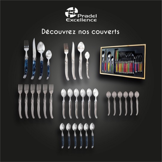 MENAGERE LAGUIOLE MULTICOLORE 24 PIECES PLEINE SOIE EN COFFRET CARTON